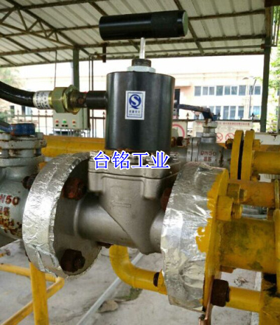 燃?xì)饩o急切斷閥工程案例圖